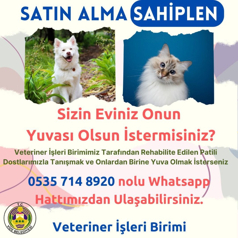 Satın Alma, SAHİPLEN