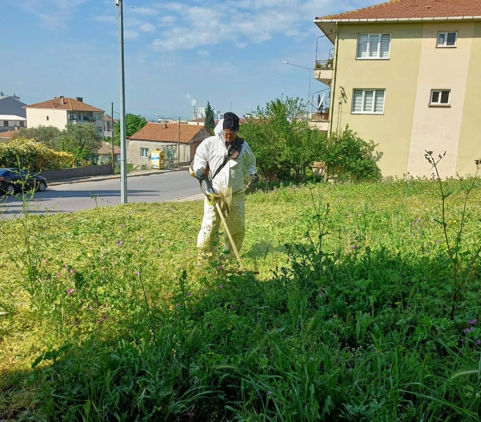 İLÇEMİZDE YABANİ OT TEMİZLİĞİ DEVAM EDİYOR