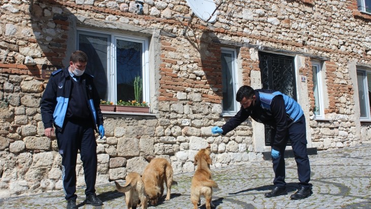 CAN DOSTLARIMIZ BİZE EMANET