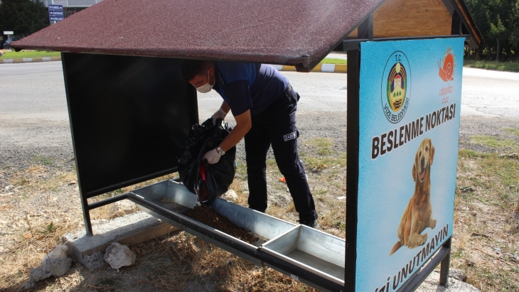 CAN DOSTLARIMIZIN DÜZENLİ OLARAK BESLENMESİNİ SAĞLIYORUZ